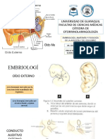 Anatomía, Embriología y Fisiología de La Audicion y Del Equilibrio