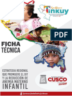 FICHA-TECNICA-SELLO-REGINAL-TINKUY-V2.0-2021-1