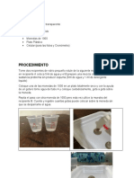 Experimento Agua y Detergente