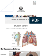 Corazón y Topografía Anatomía Cardíaca