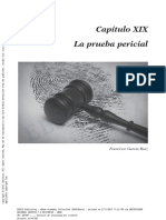 Técnicas de investigación criminal 2012 Madrid Dykinson. Capítulo 19.