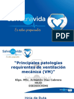 4-Principales Patologías Requirentes de Ventilación Mecánica