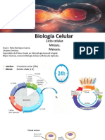 Clase PPT Ciclo Celular, Mitosis y Meiosis