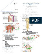 Gen Anat 3