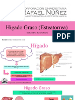 Higado Graso Expo