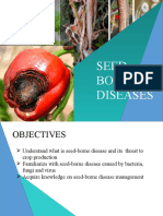 Seed Borne Diseases