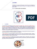 SISTEMA CARDIOVASCULAR