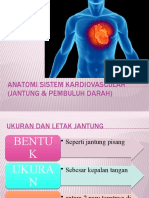 Sistem Jantung