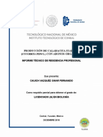 FORMATO - Portada INFORME TECNICO DE RP 1