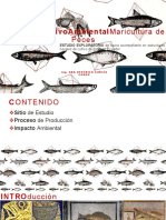 9 Acuic Ana García - Impacto Ambiental Positivo de La Maricultura de Peces_opt