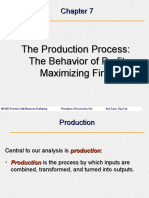 CH 07 - Production Process