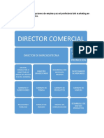 Esquema Sobre Las Opciones de Empleo para El Profesional Del Marketing en La Republica Dominicana