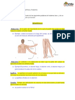 Taller Anatomia