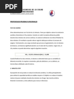 Protocolos Pruebas Funcionales