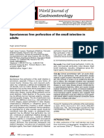 Spontaneous Free Perforation of The Small Intestine in Adults