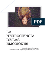 Neurociencia de Las Emociones