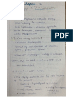 Enery and Respiration Notes