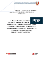 Plan de Seguridad y Salud en El Trabajo para La Aii