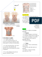 Exame Fisico Abdominal