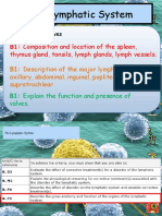 Aim B1 Structure of The Lymphatic System - 1