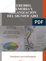 Cerebro, Memoria y Organización de Significados (2019)