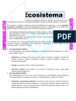 Ficha-El-Ecosistema-para-Quinto-de-Primaria