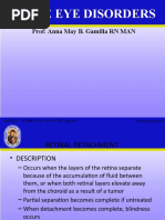 Common Retina and Vitrectomy CPT Codes | PDF | Medical Procedures ...