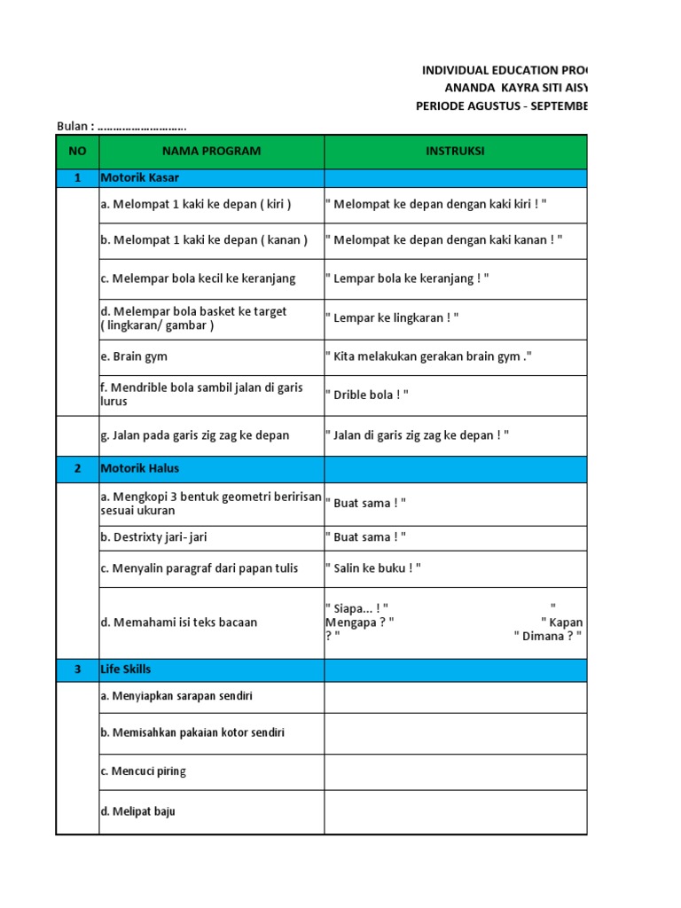 Program Pendidikan Individu Anak | PDF