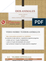 Tejidos Animales