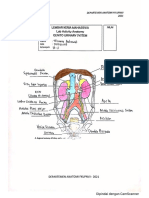 Trisnania Ambarwati_1910211013_B1_Tugas Worksheet Lab Act Anatomi