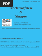 bioeletrogenese_e_sinapse_ESP_2020