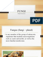 Fungi: (Simple Discussion)
