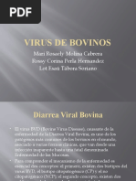 Download Virus de Bovinos by Lot Tabora Soriano SN52268696 doc pdf