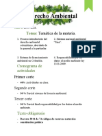 Derecho Ambiental (CUADERNO)