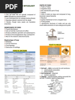 Intro To Myco