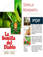 Semilla Monsanto Luis Miguel Ramirez Sanchez