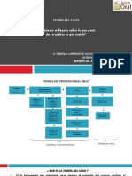 Sistema Acusatorio Adversarial - Teoria Del Caso