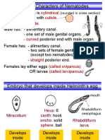 General Characters of Nematodes: Cylindrical Cuticle. Separate