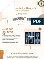 Efectos de Los Rayos X en El Organismo - Grupo 1