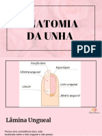 Anatomia+Das+Unhas