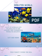 Presentation On Underwater World