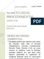 Marco Legal Procedimental 2 l (3)