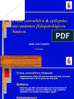 Crisis Convulsiva & Epilepsia: Mecanismos Fisiopatológicos Básicos