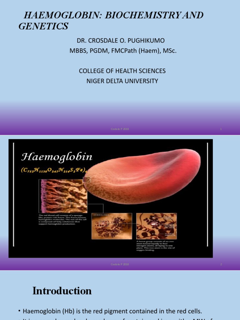 Haemoglobin: Biochemistry and Genetics | PDF | Hemoglobin | Medical ...