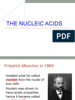 02 The Nucleic Acids
