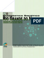 Diagnóstico Sintético Rio Grande Do Norte