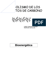 Microsoft PowerPoint Metabolismo Carbohidratos 2015