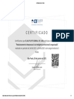 Certificado Saber Virtual 02