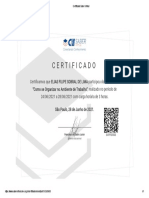 Certificado Saber Virtual 03