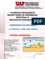 Receptores membrana, proteína G y segundos mensajeros en